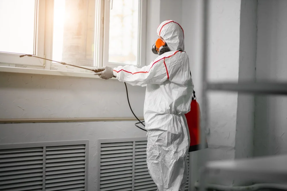 Professional mold remediation services in Eagle, WI